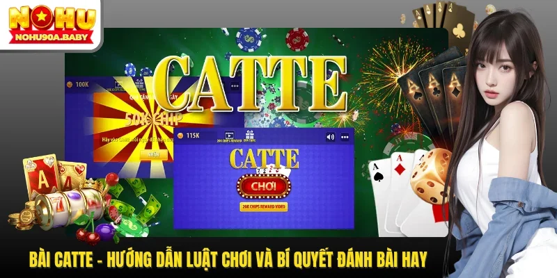 Bài Catte