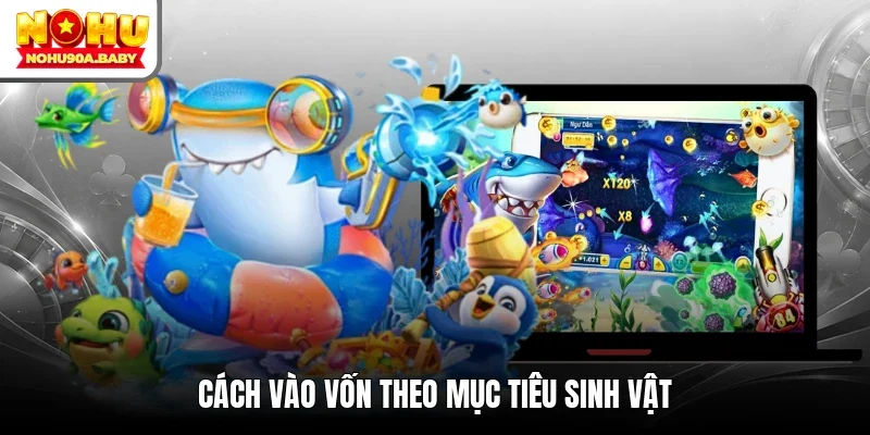 Cách vào vốn theo mục tiêu sinh vật